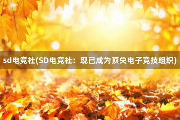 sd电竞社(SD电竞社：现已成为顶尖电子竞技组织)