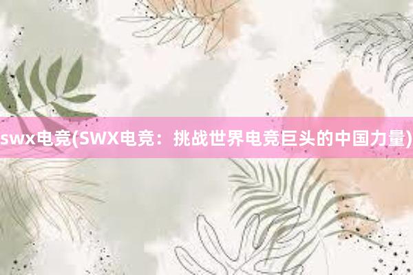 swx电竞(SWX电竞：挑战世界电竞巨头的中国力量)