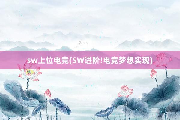 sw上位电竞(SW进阶!电竞梦想实现)