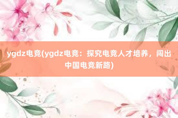 ygdz电竞(ygdz电竞：探究电竞人才培养，闯出中国电竞新路)