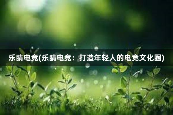 乐睛电竞(乐睛电竞：打造年轻人的电竞文化圈)