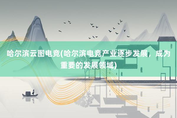 哈尔滨云图电竞(哈尔滨电竞产业逐步发展，成为重要的发展领域)