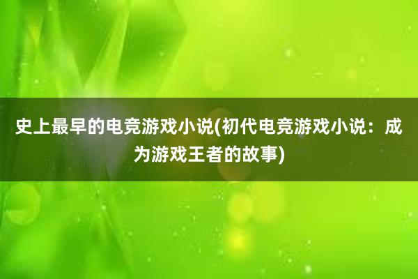 史上最早的电竞游戏小说(初代电竞游戏小说：成为游戏王者的故事)