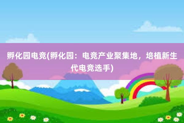 孵化园电竞(孵化园：电竞产业聚集地，培植新生代电竞选手)