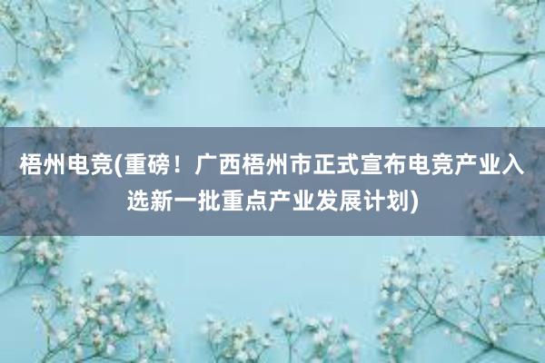 梧州电竞(重磅！广西梧州市正式宣布电竞产业入选新一批重点产业发展计划)