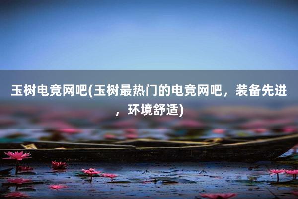 玉树电竞网吧(玉树最热门的电竞网吧，装备先进，环境舒适)