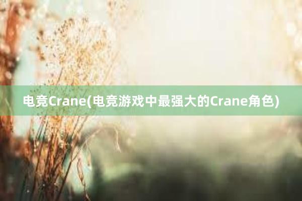 电竞Crane(电竞游戏中最强大的Crane角色)