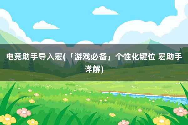 电竞助手导入宏(「游戏必备」个性化键位 宏助手详解)