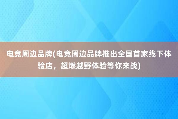 电竞周边品牌(电竞周边品牌推出全国首家线下体验店，超燃越野体验等你来战)