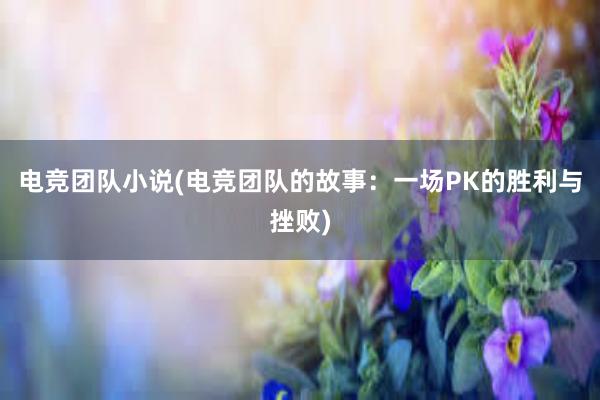 电竞团队小说(电竞团队的故事：一场PK的胜利与挫败)