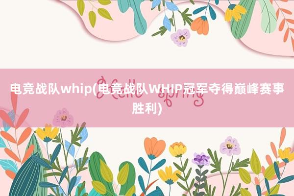 电竞战队whip(电竞战队WHIP冠军夺得巅峰赛事胜利)