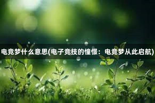 电竞梦什么意思(电子竞技的憧憬：电竞梦从此启航)