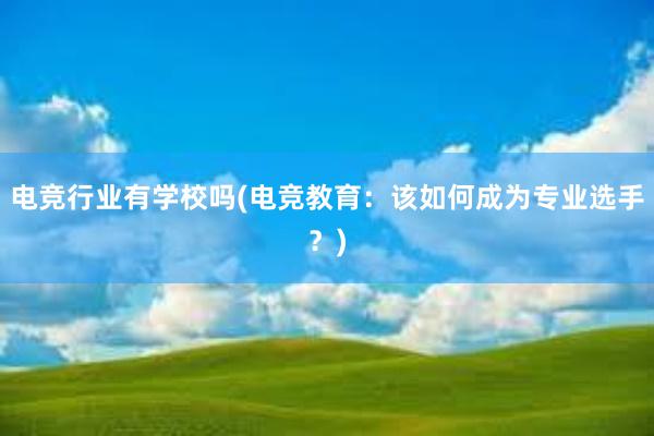 电竞行业有学校吗(电竞教育：该如何成为专业选手？)