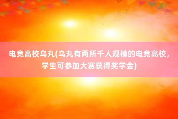 电竞高校乌丸(乌丸有两所千人规模的电竞高校，学生可参加大赛获得奖学金)