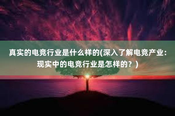 真实的电竞行业是什么样的(深入了解电竞产业：现实中的电竞行业是怎样的？)