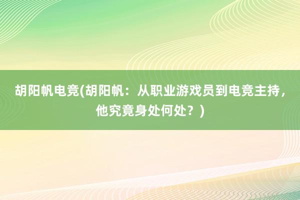 胡阳帆电竞(胡阳帆：从职业游戏员到电竞主持，他究竟身处何处？)