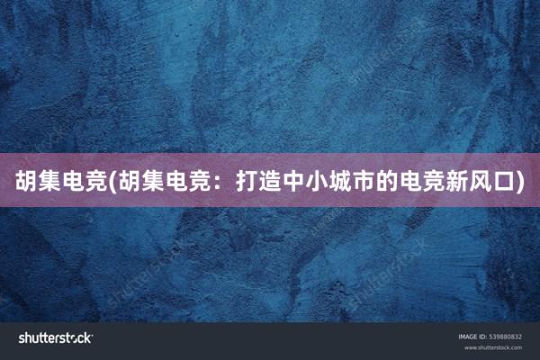 胡集电竞(胡集电竞：打造中小城市的电竞新风口)