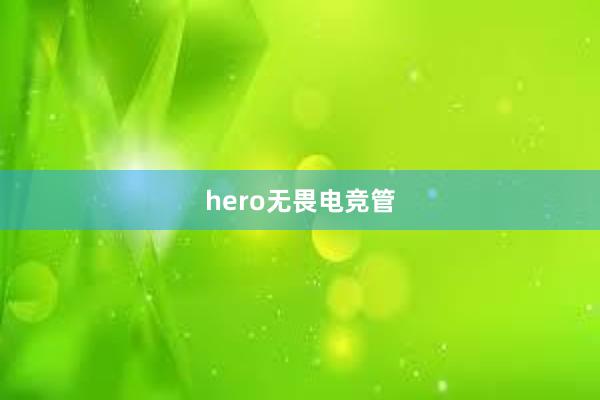 hero无畏电竞管