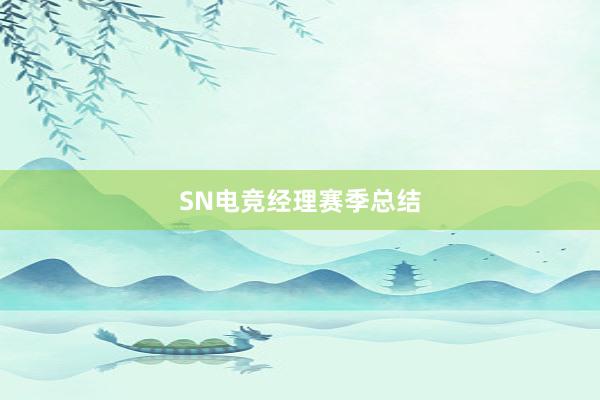 SN电竞经理赛季总结