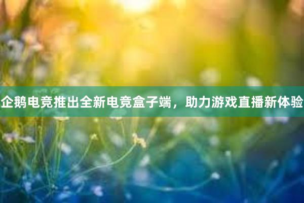 企鹅电竞推出全新电竞盒子端，助力游戏直播新体验