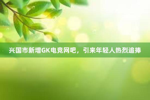 兴国市新增GK电竞网吧，引来年轻人热烈追捧