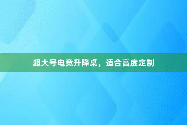 超大号电竞升降桌，适合高度定制