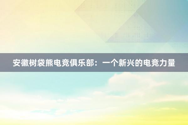 安徽树袋熊电竞俱乐部：一个新兴的电竞力量