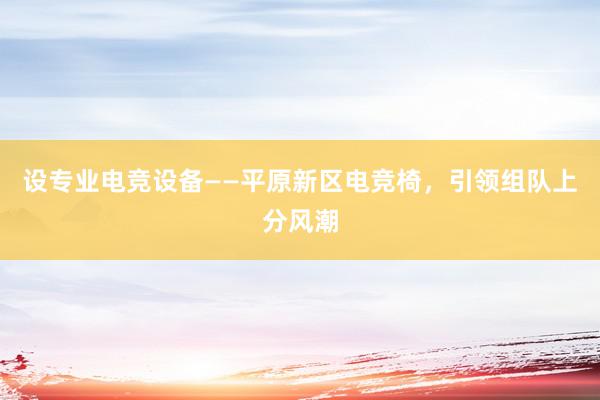 设专业电竞设备——平原新区电竞椅，引领组队上分风潮