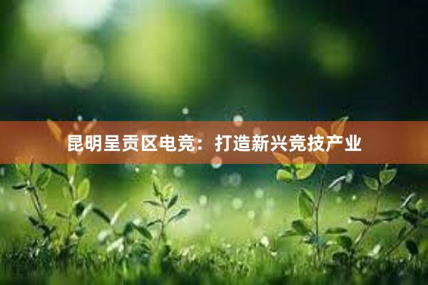 昆明呈贡区电竞：打造新兴竞技产业