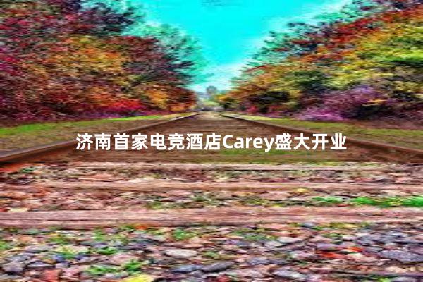 济南首家电竞酒店Carey盛大开业