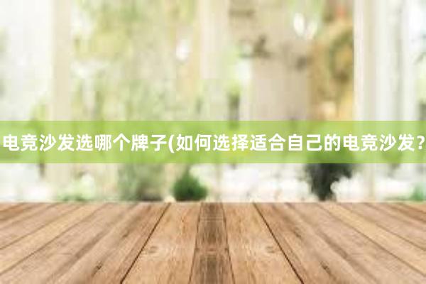 电竞沙发选哪个牌子(如何选择适合自己的电竞沙发？