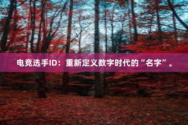 电竞选手ID：重新定义数字时代的“名字”。