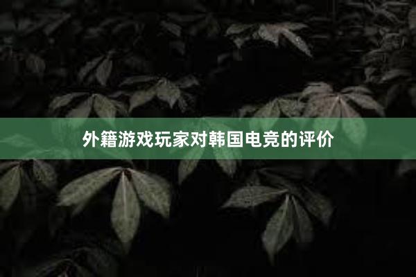 外籍游戏玩家对韩国电竞的评价