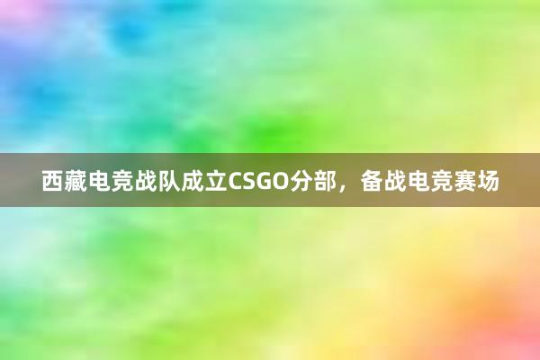 西藏电竞战队成立CSGO分部，备战电竞赛场