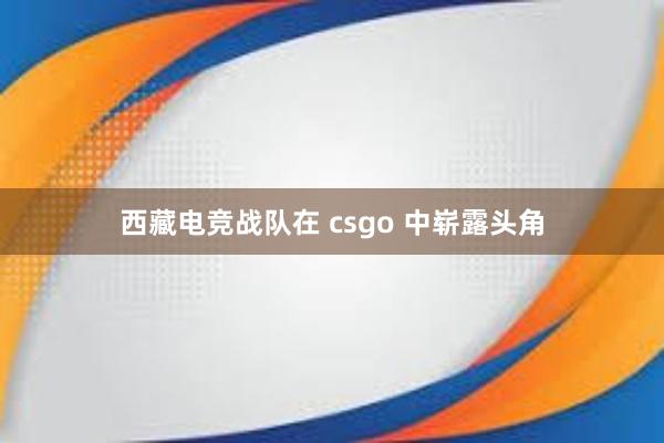 西藏电竞战队在 csgo 中崭露头角